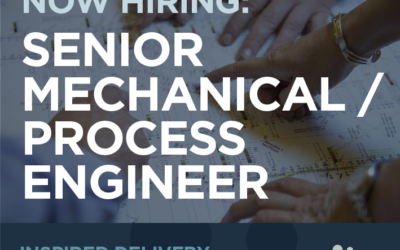 Senior Mechanical / Process Engineer
